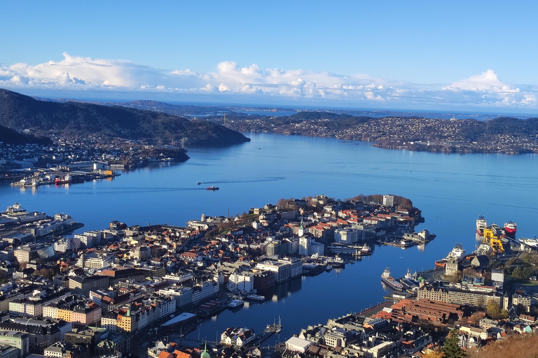 Bergen in a Nutshell: See It All in One Day