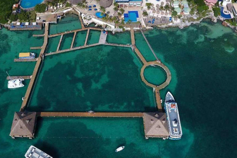 From Cancun: Isla Mujeres Ferry Trip with Buffet Lunch