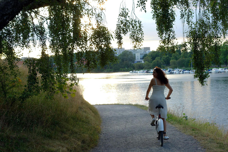 Stockholm: E-Bike City Tour