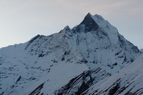 Pokhara: 7-Day Annapurna Base Camp Express Trek