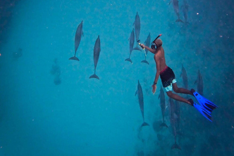 Amanecer con delfines, observación y nado, snorkel y Crystal Rock.Amanecer con delfines, observación y nado, snorkel y roca cristalina.