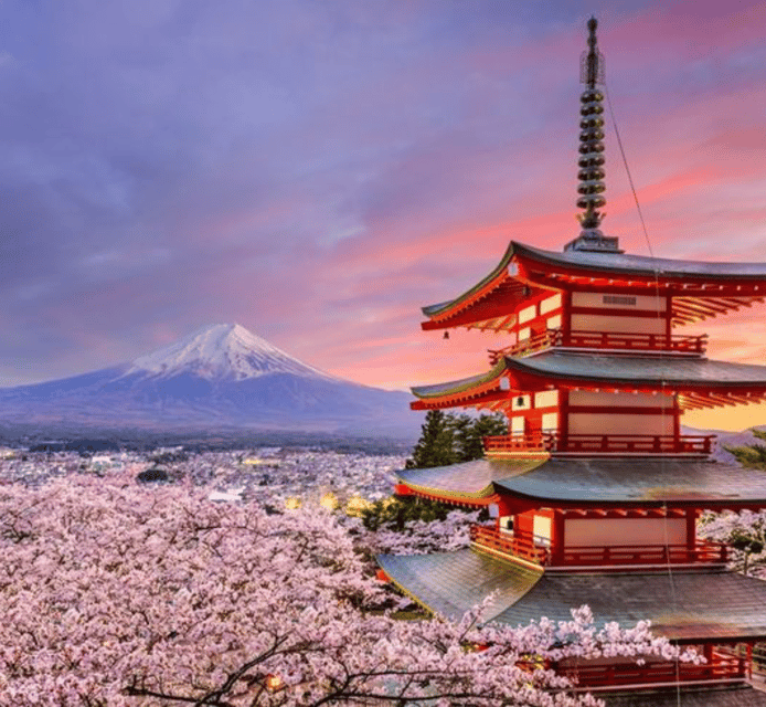 Mount Fuji Full Day Private Customizable Tour