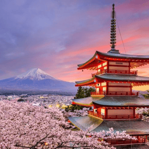 From Tokyo:Mount Fuji Private Customizable Tour with Guide