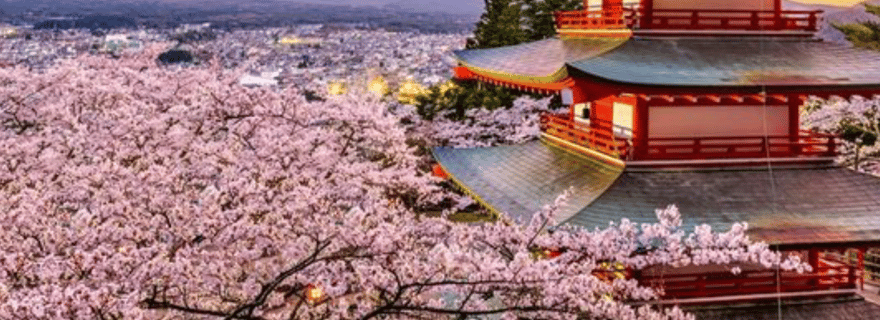 Visite privée personnalisable d'une journée du mont Fuji avec guide