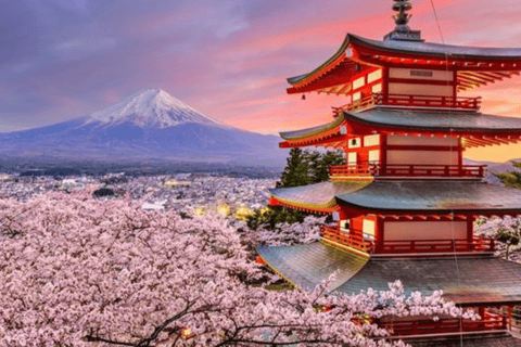From Tokyo: Mount Fuji Private Customizable Tour with Guide