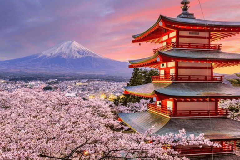 From Tokyo: Mount Fuji Private Customizable Tour with Guide