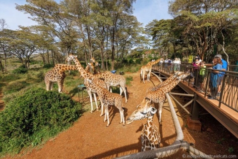 Nairobi: Niesamowita wycieczka po mieście z najlepszymi widokami w historii