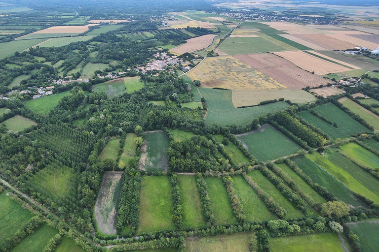 Niort and the Marais Poitevin: hot-air balloon flight from Coulon