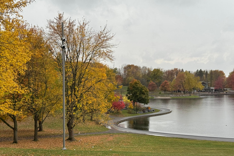 Montreal Private City Car Tour with Local Guide