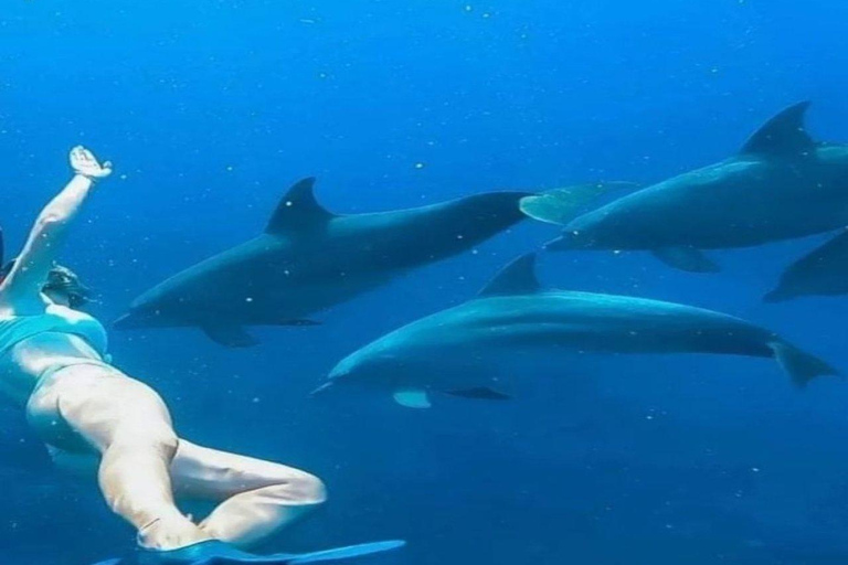 Zanzibar: snorkelen en dolfijnen kijken op Mnemba Island