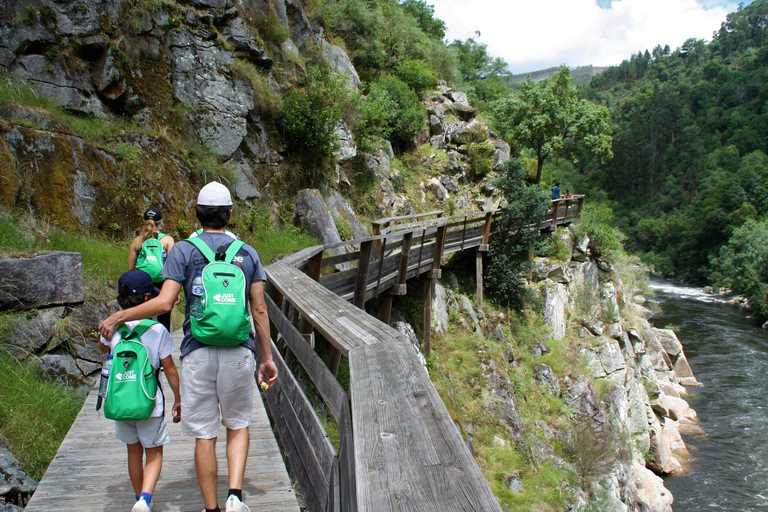 From Porto: 516 Arouca Bridge & Paiva Walkways - Guided Tour