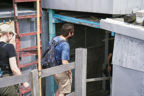 Hongkong: Big Buddha &amp; Lantau Island Tour met kabelbaanAlleen Big Buddha &amp; Po Lin-klooster