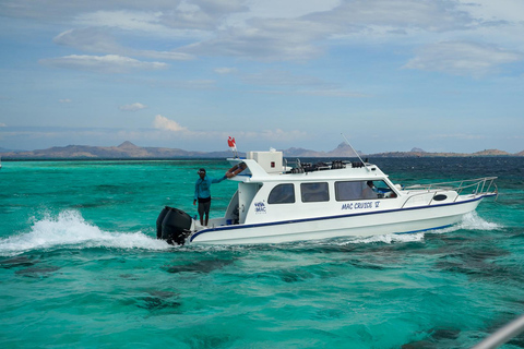 Labuan Bajo: Full-Day Komodo Speedboat Tour with Snorkeling