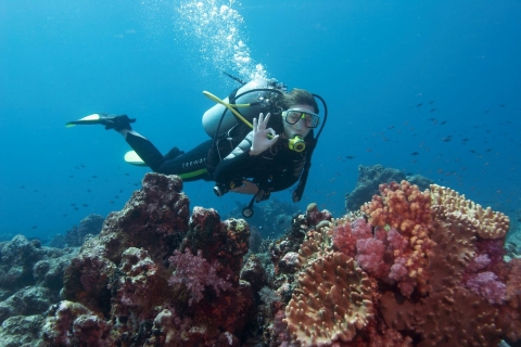 Kemer Full-Day Scuba Diving Adventure
