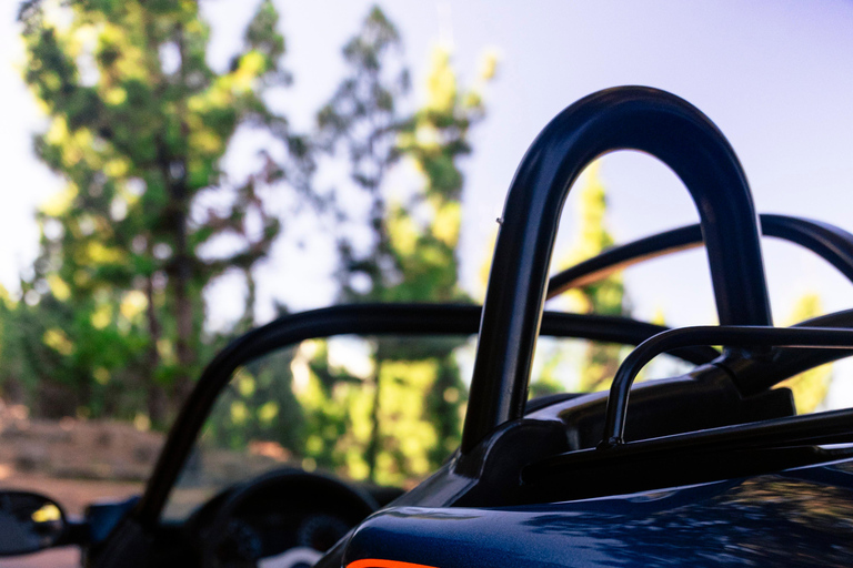 South Tenerife: Off-the-beaten-track buggy adventure South Tenerife: Full-Day Self-Drive Buggy Experience