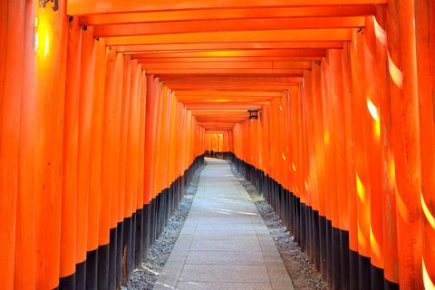 Tour privato personalizzato di Kyoto in auto con guida localeInglese