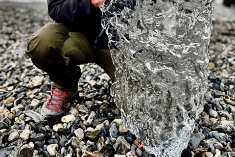 Puerto Natales: Grey Glacier Cruise & Torres del Paine Tour