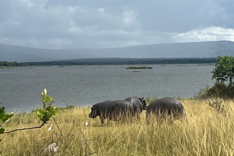 2 jours de safari dans l'Akagera avec une promenade en bateau.