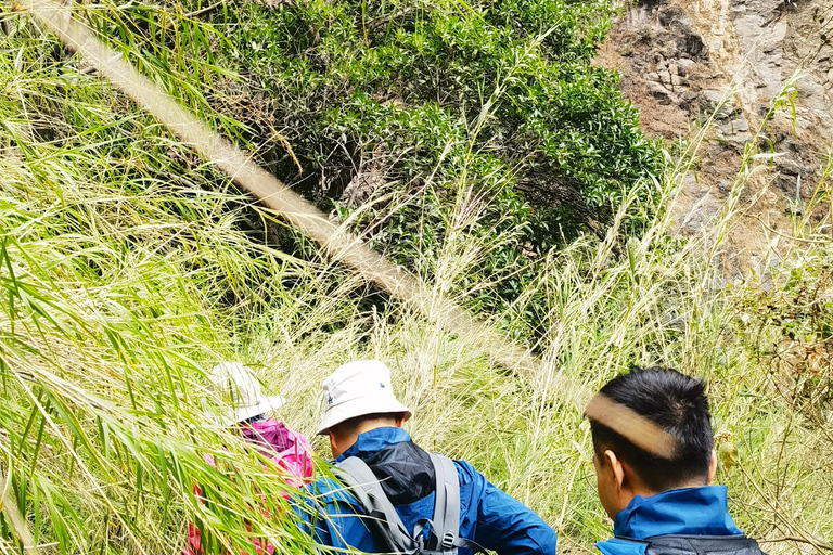 Tiger Leaping Gorge Trekking in the Canyon