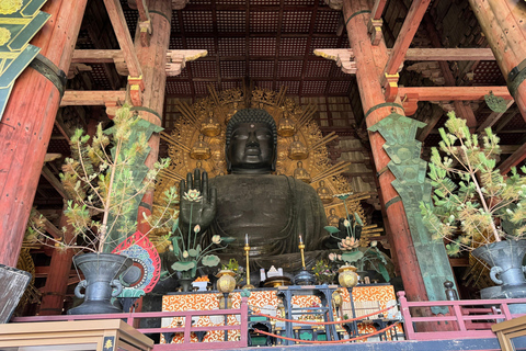 Nara: Guided Walking Tour with Great Buddha and Deer(5h)