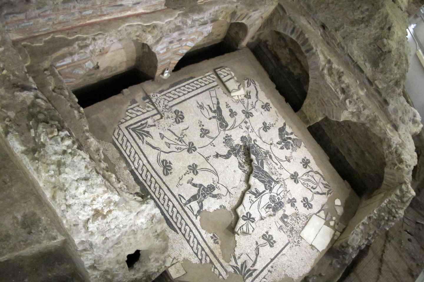 Rome: Vatican Necropolis and Via Triumphalis Guided Tour