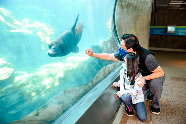 Los Angeles: Företrädesbiljett till Aquarium of the Pacific