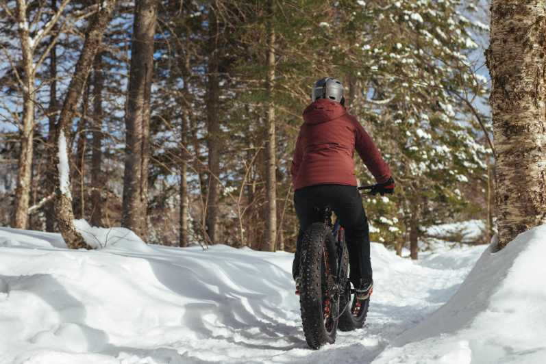Mont-Saint-Bruno: Park Entry with Fat-bike and Snowshoeing