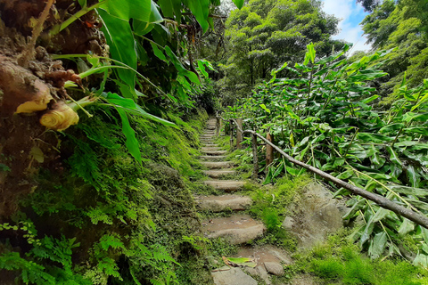 São Miguel: Moinho do Felix-Wanderung mit Besuch der Teefabrik