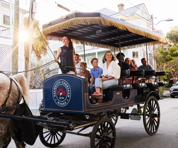 Charleston: Downtown Horse-Drawn Carriage Tour