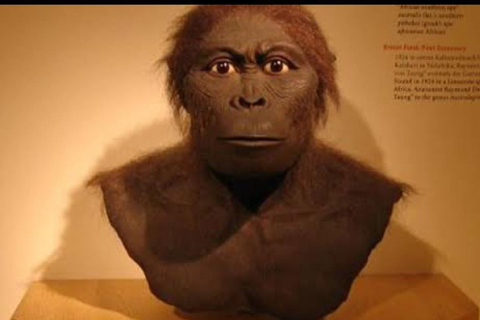 3-Day Johannesburg, Pretoria, Cradle &amp; Lesedi Tour