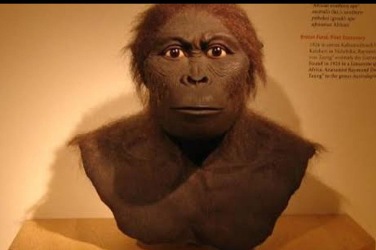 3-Day Johannesburg, Pretoria, Cradle &amp; Lesedi Tour