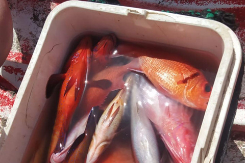 Paseo de pesca en São Pedro