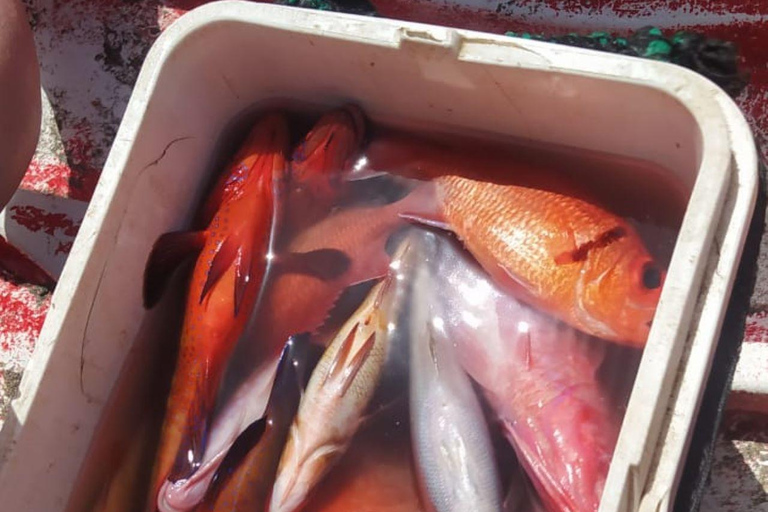 Tour di pesca a São Pedro