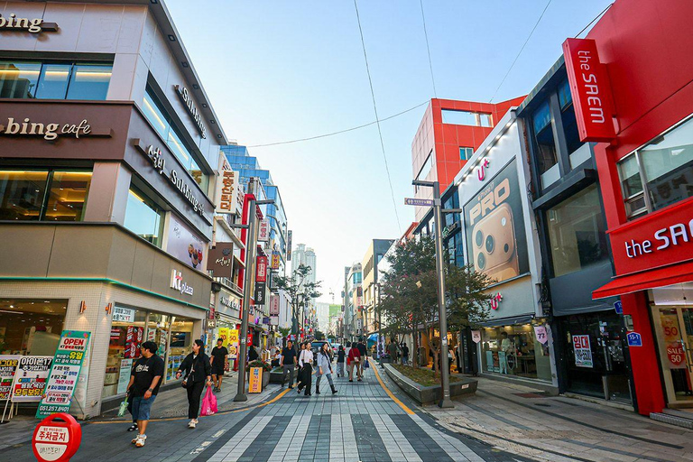 Busan: Full-Day Cable Car & Tower【Chinese Driver】 Meeting point pickup