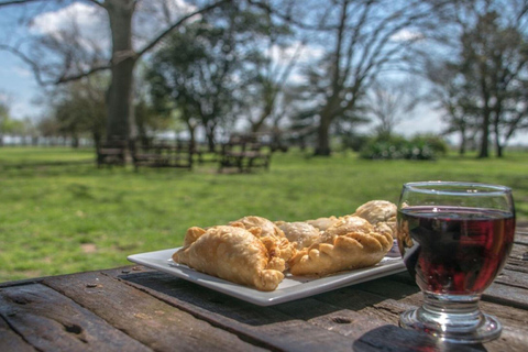 从布宜诺斯艾利斯出发：埃尔翁布德阿雷科（含接送服务）从布宜诺斯艾利斯出发：阿雷科的奥姆布树，含接送服务
