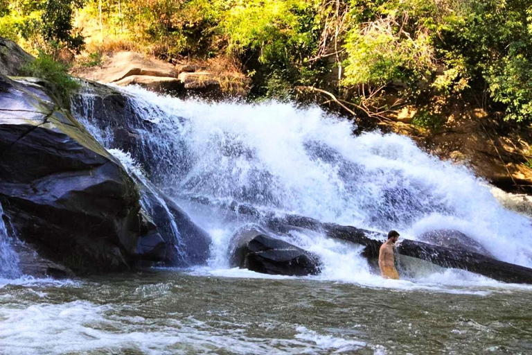 Chiang Mai: Jungle Trek, Elephants care & Bamboo Rafting