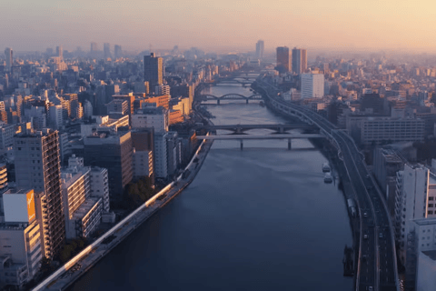 Tokyo Private Tour with English speaking driver Minivan (1-6)