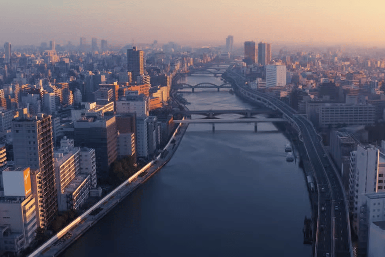 Tokyo Private Tour with English speaking driver Minivan (1-6)