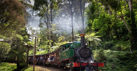 Melbourne: Penguin Parade Tour with Puffing Billy Train Ride