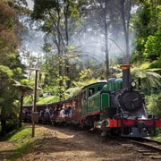 Melbourne: Penguin Parade Tour with Puffing Billy Train Ride