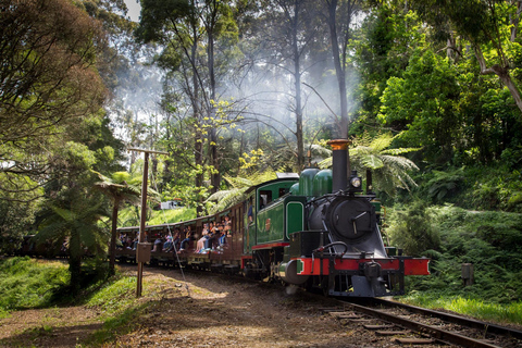 Melbourne: Excursão à Penguin Parade com passeio de comboio Puffing Billy