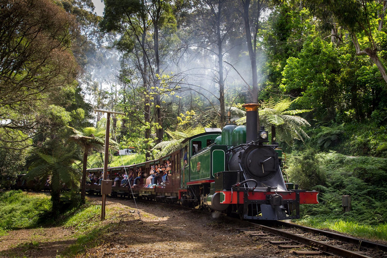 Melbourne : Visite de la parade des pingouins et promenade en train avec Puffing Billy