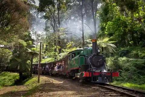 Melbourne: Penguin Parade Tour with Puffing Billy Train Ride