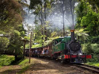 Melbourne : Visite de la parade des pingouins et promenade en train avec Puffing Billy