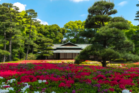 Tokyo Tour:Viral Instagram & TikTok Highlights by Luxury Car