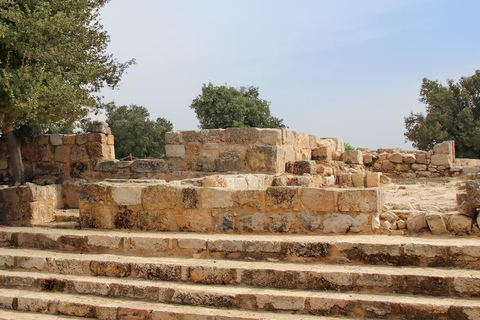 Amman: Jerash, Ajloun, Mar Elias or Umm Qais Day Trip Amman: Jerash, Ajloun Day Trip