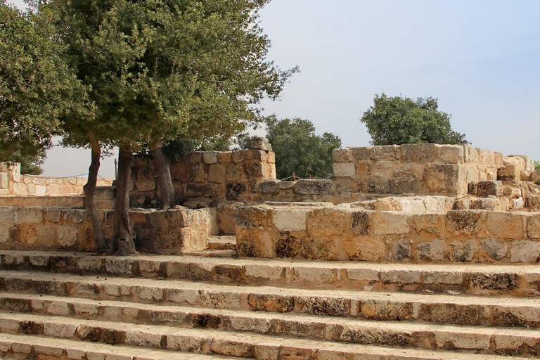Amman: Jerash, Ajloun, Mar Elias or Umm Qais Day Trip Amman: Jerash, Ajloun Day Trip