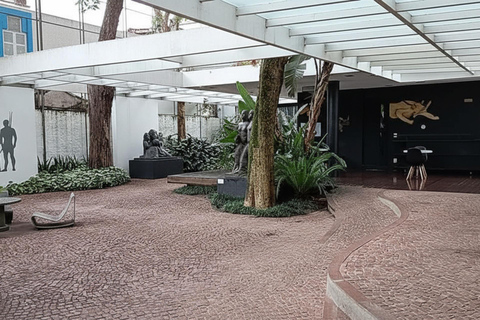 Lasar Segall Highlight Sao Paulo Private Guided Walking Tour 2-hour: Lasar Segall Tour