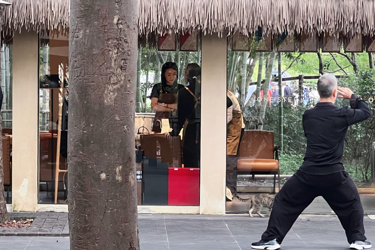 4 heures de visite de Shanghai Tai Chi et Yu Garden