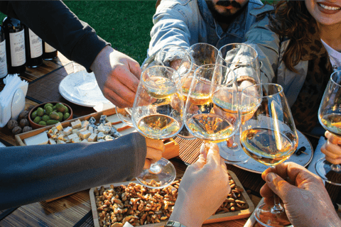 Georgia, discover the historic winery of village Mukhrani old mukhrani wine tasting